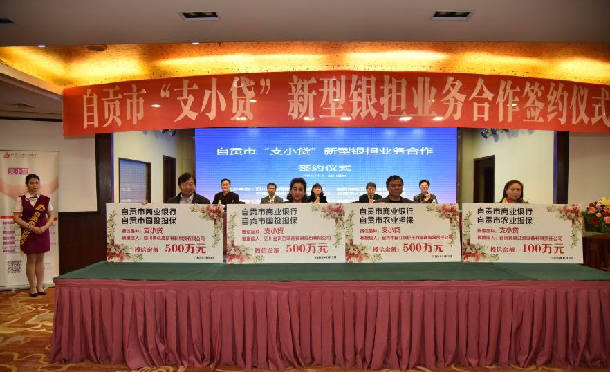 國投擔(dān)保“支小貸”